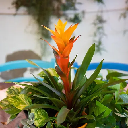 Holiday home Casa Leo
